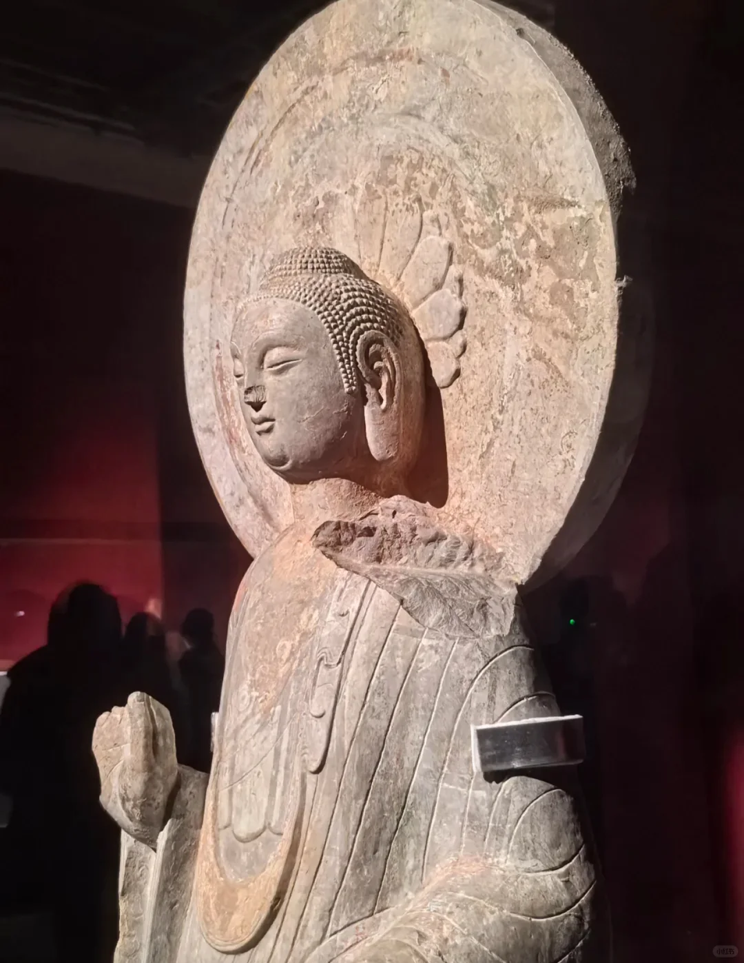 3.17-3.23 TK高端论坛活动开启免费预约啦