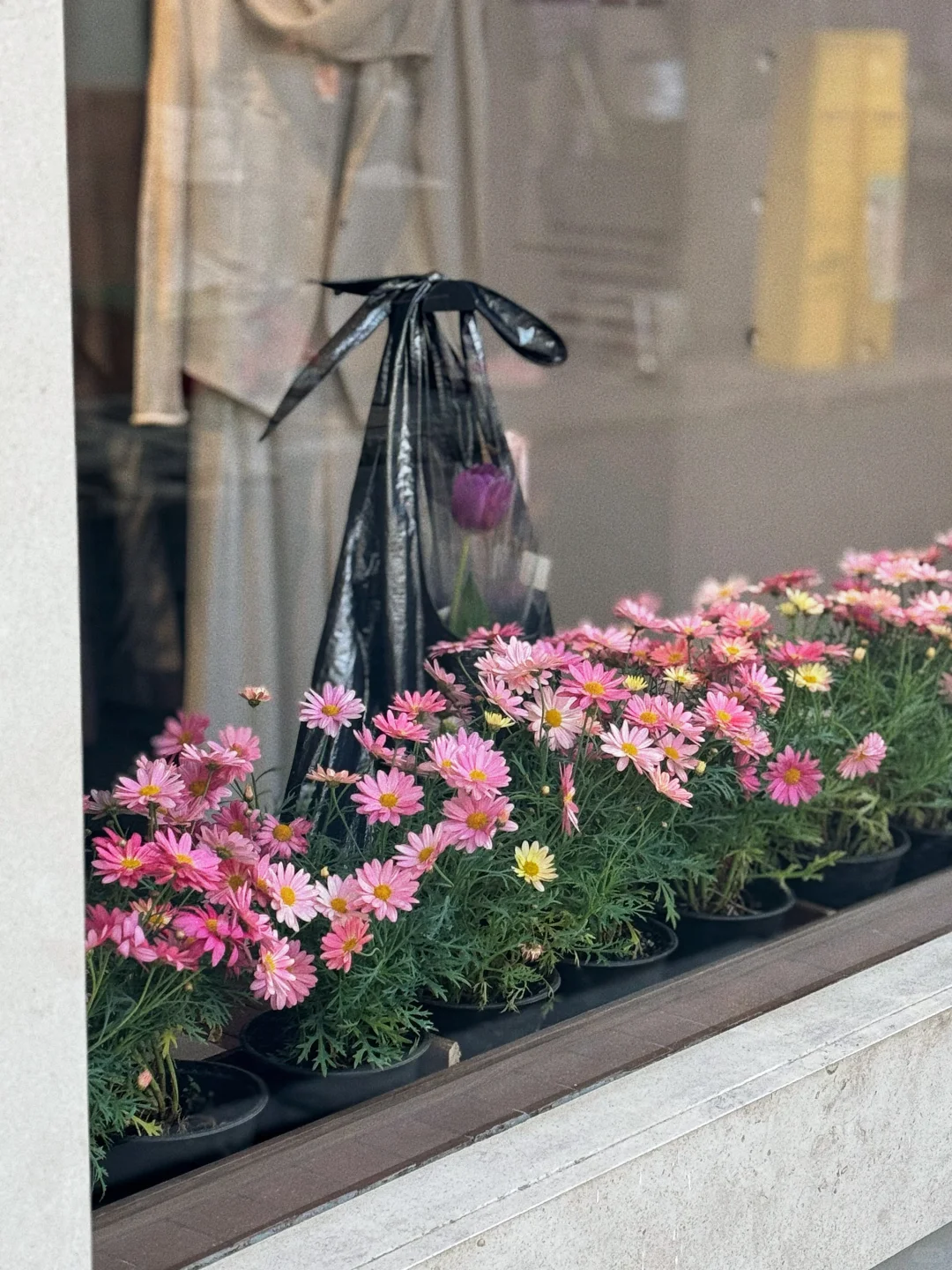 8小时往返上海！