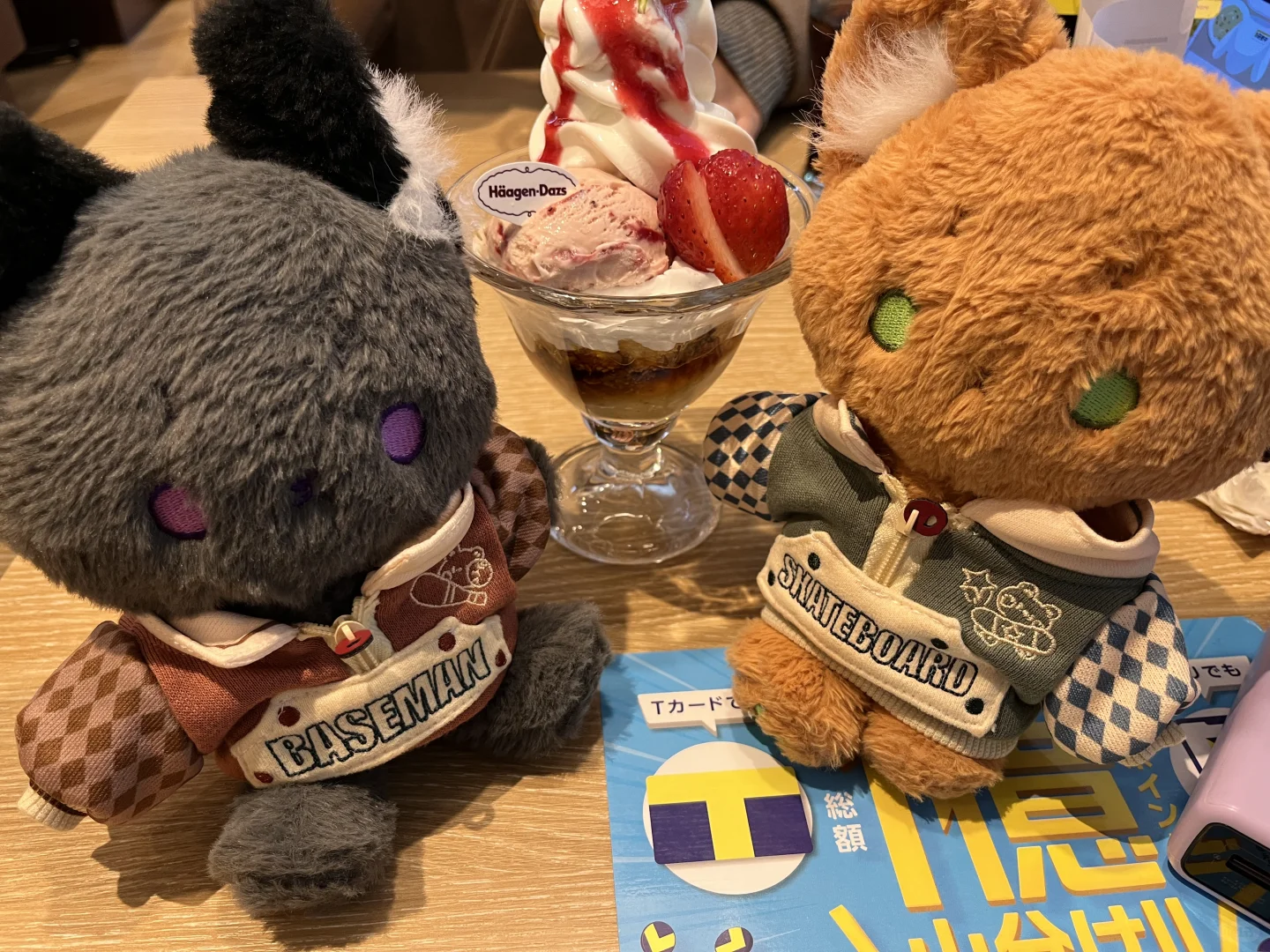 闪现！国际会展