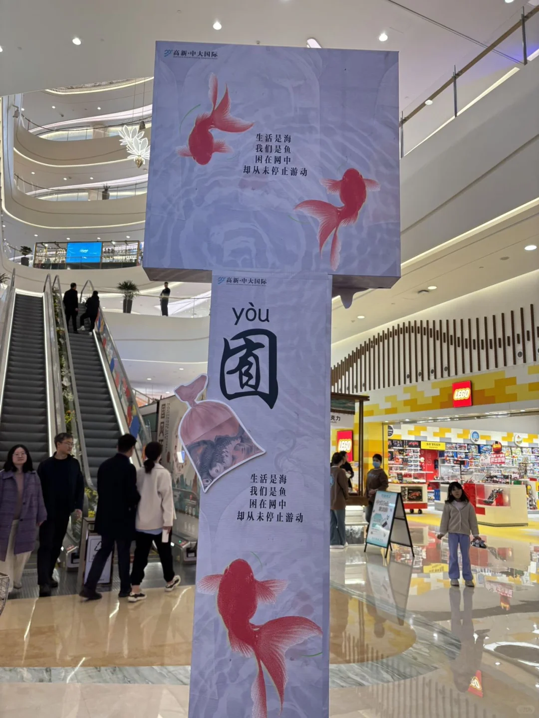 太梦幻了！仿佛进入金鱼梦境