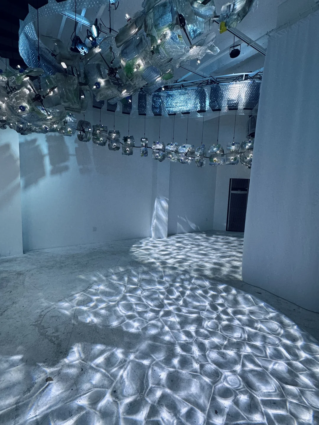 梦核展览｜浮游生物Plankton?