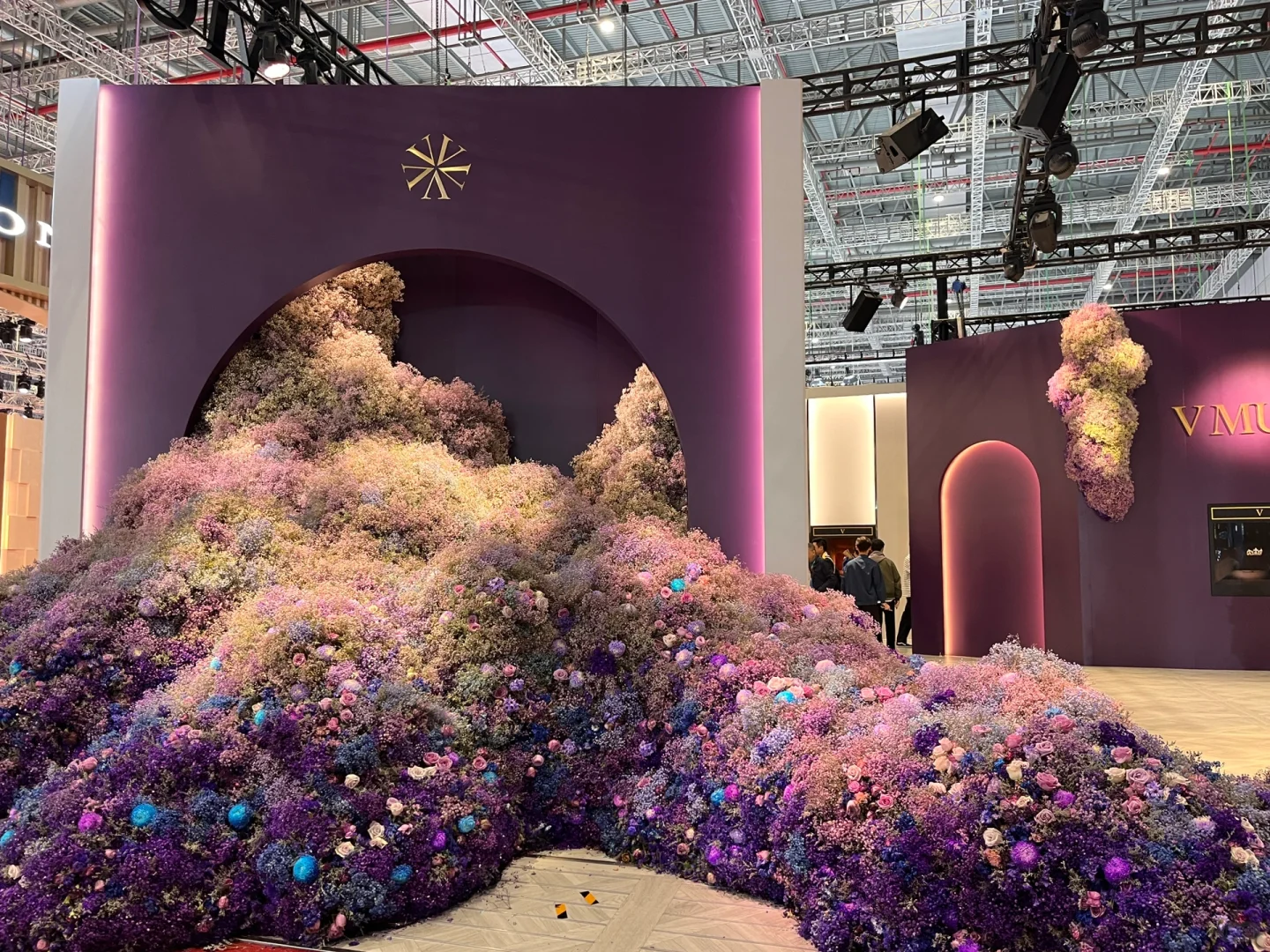 与进博的第二年 从小叶子?变成了观众