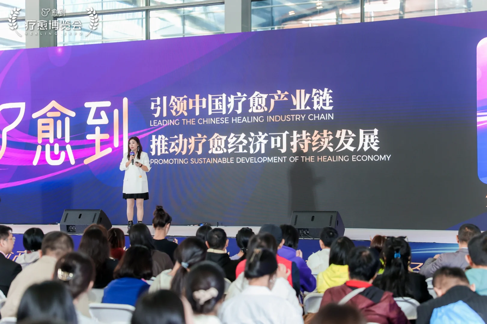 疗愈博览会第三天参会感受（大咖篇）