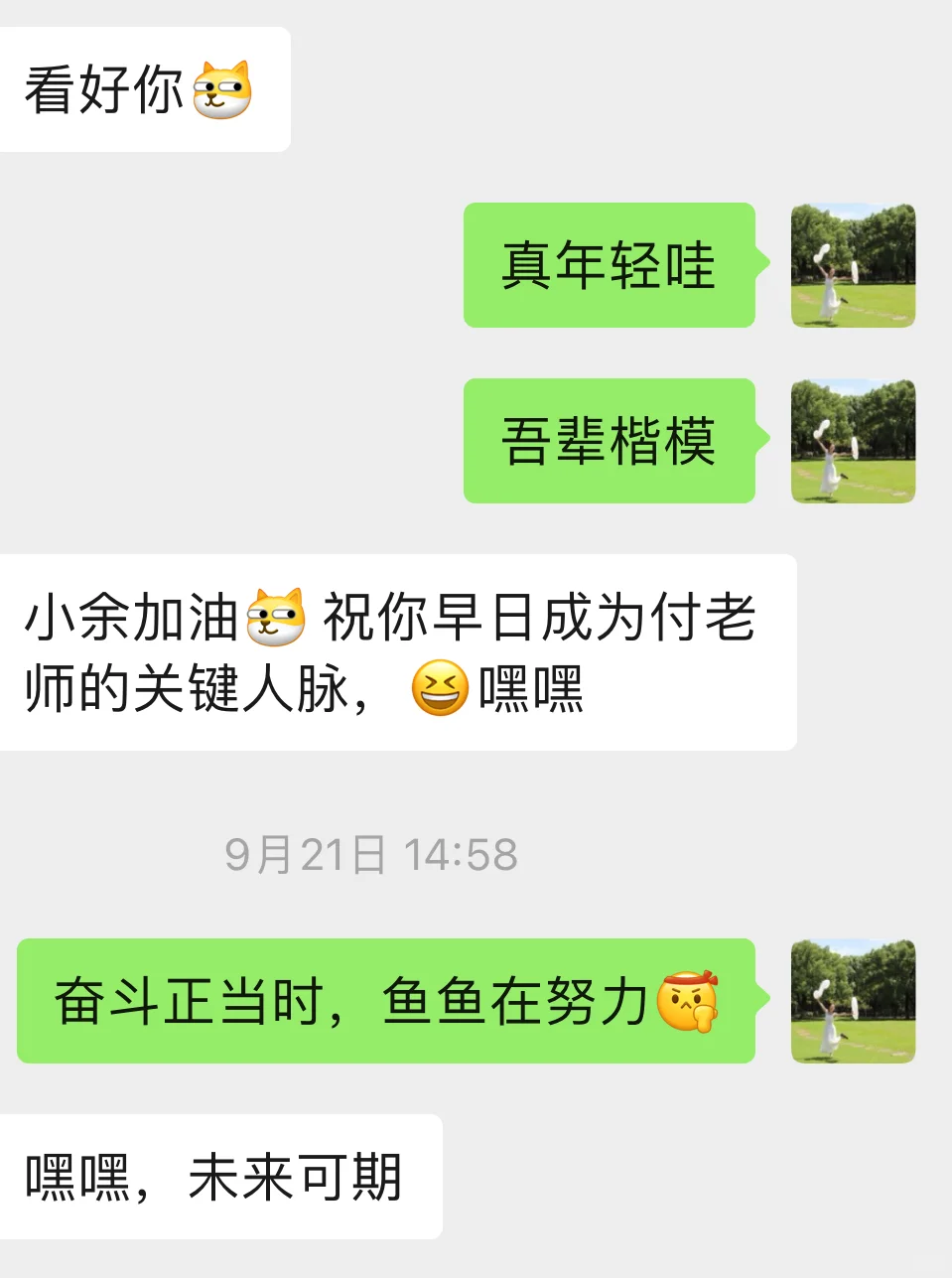 与进博的第二年 从小叶子?变成了观众