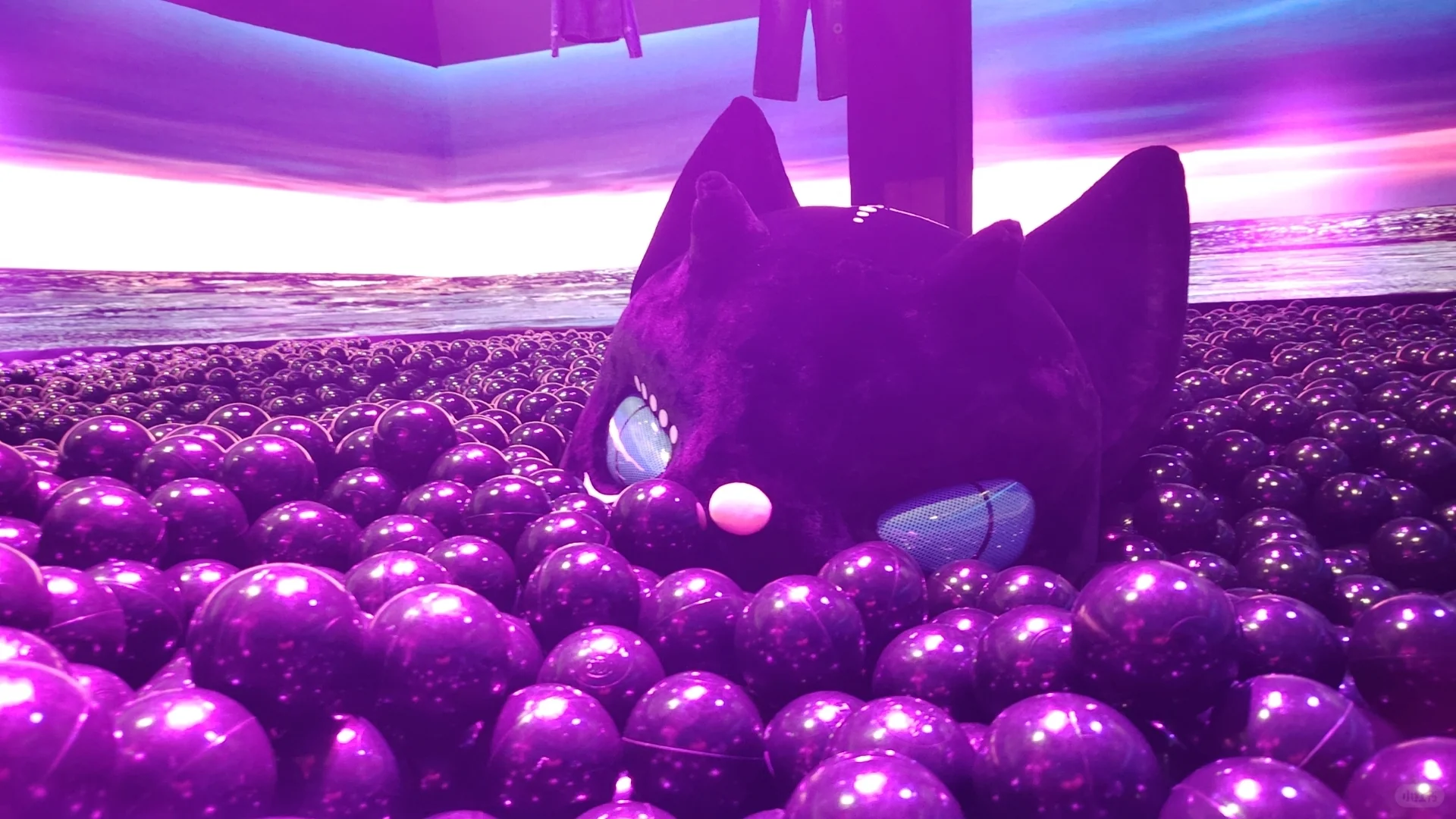 CHIC 愉快的一天！！！D.Desirable