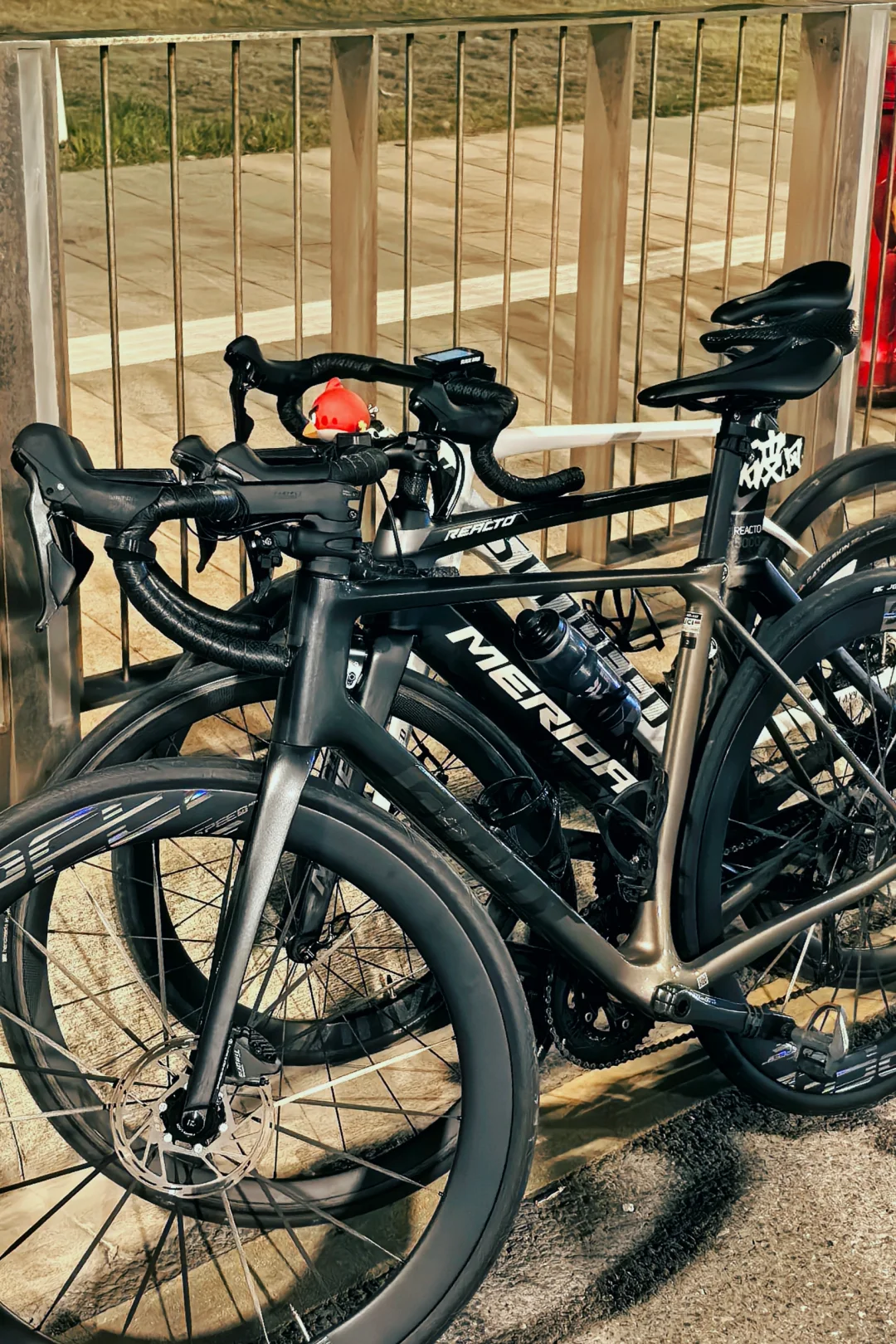 周五晚的会展骑车很ok！