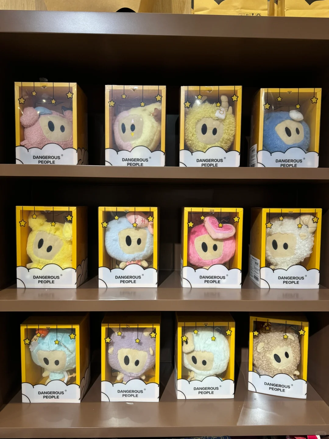 见到柯柯了耶！