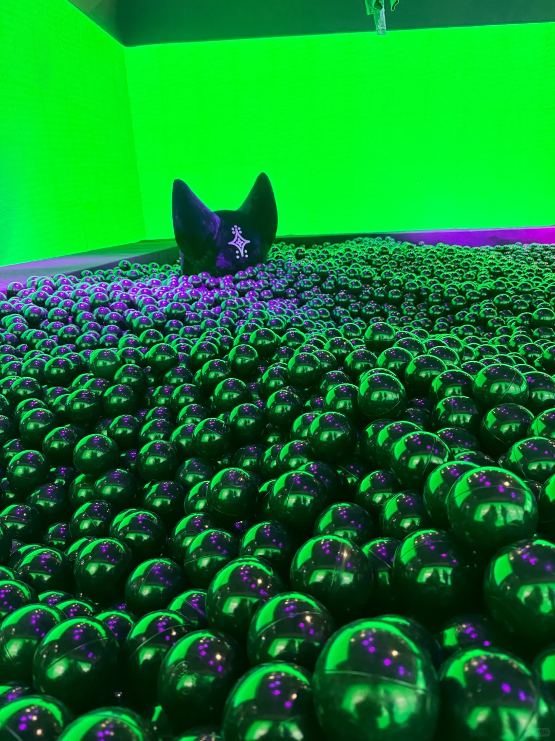 D_DESIRABLE参展中国国际服装服饰博览会