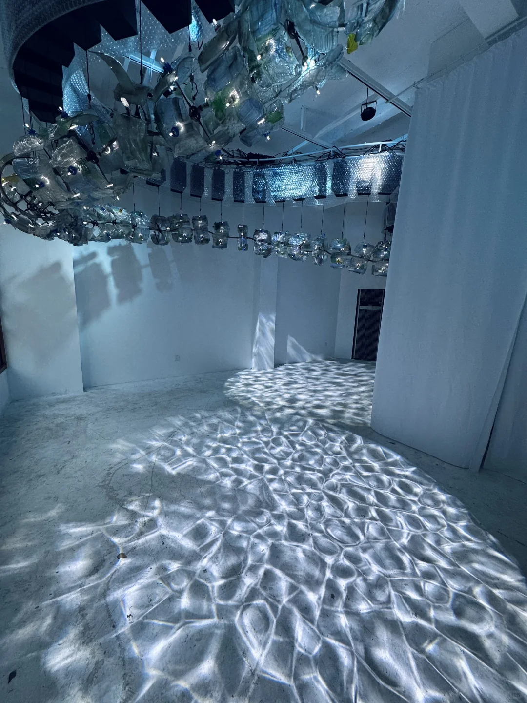 梦核展览｜浮游生物Plankton?