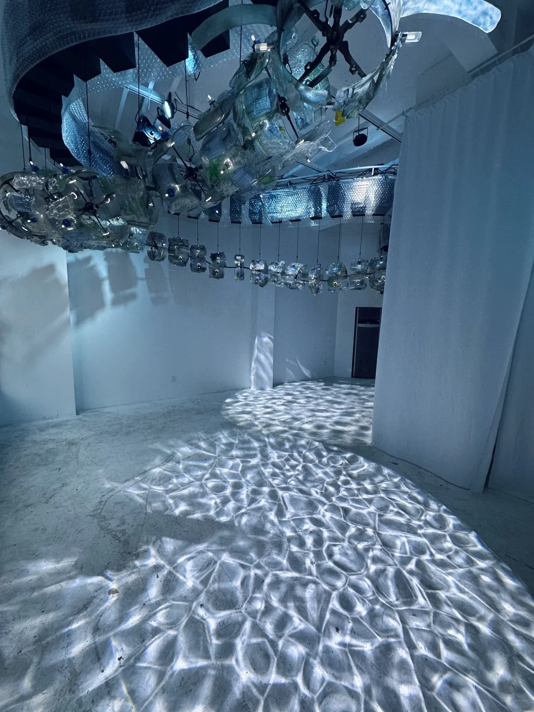 梦核展览｜浮游生物Plankton?