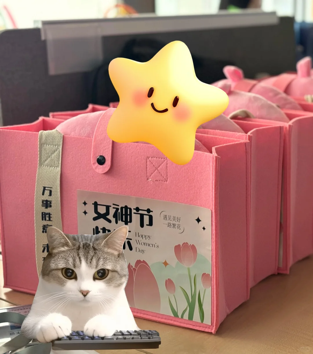 ?女神节收到HR的礼物，公司是懂女员工的