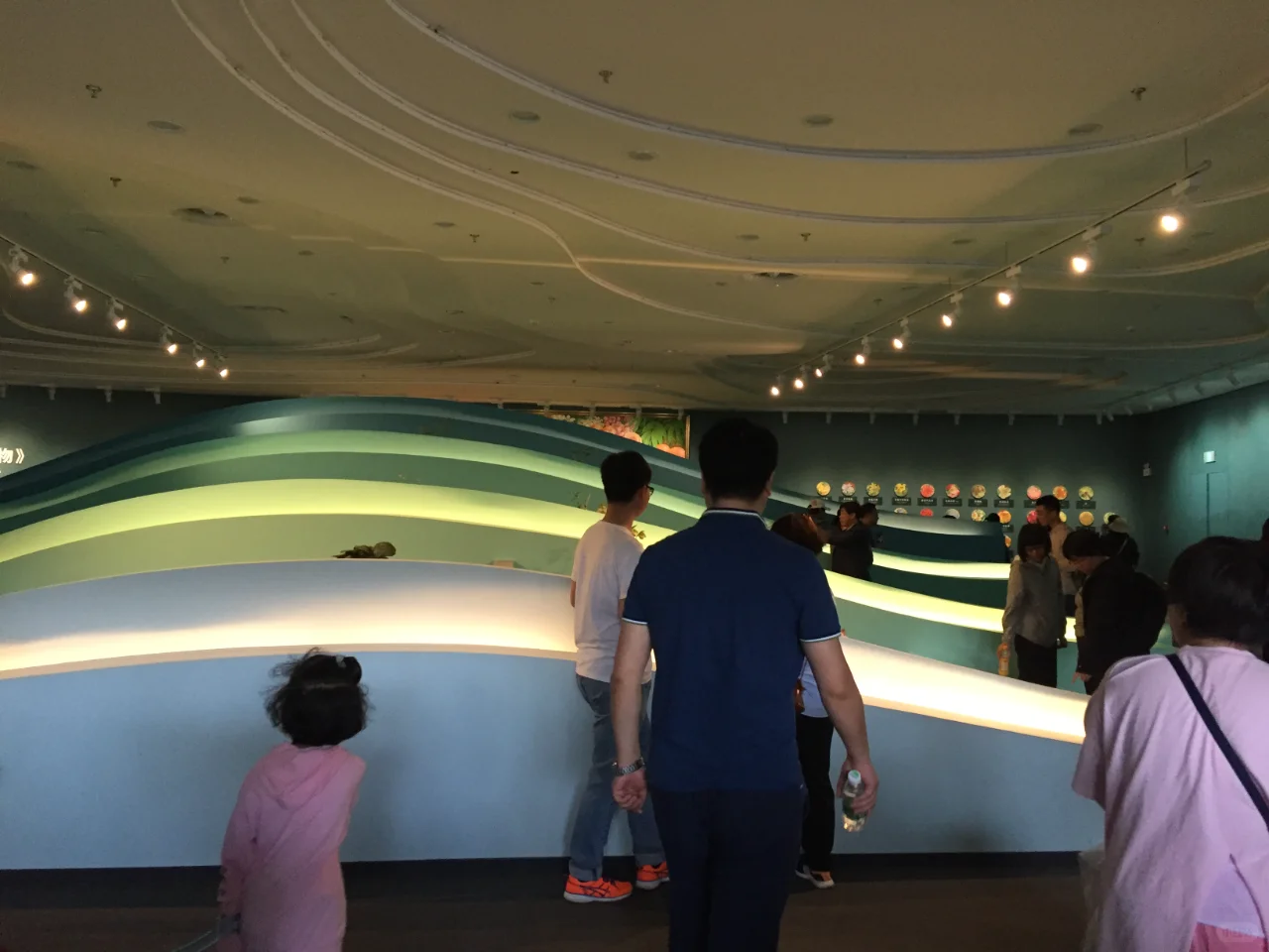 探馆——2019年北京世界园艺博览会北京馆