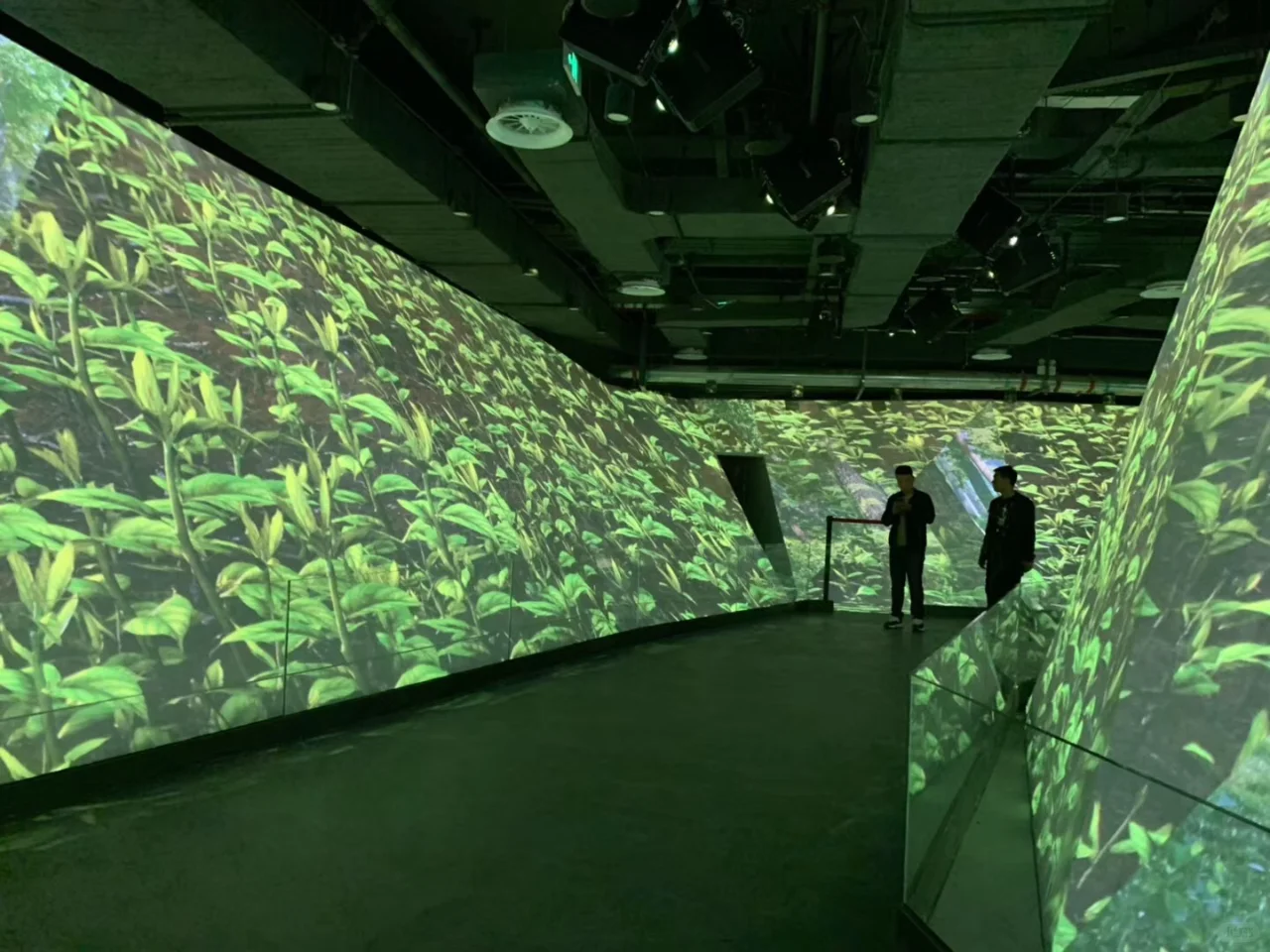 探馆——2019年北京世界园艺博览会北京馆