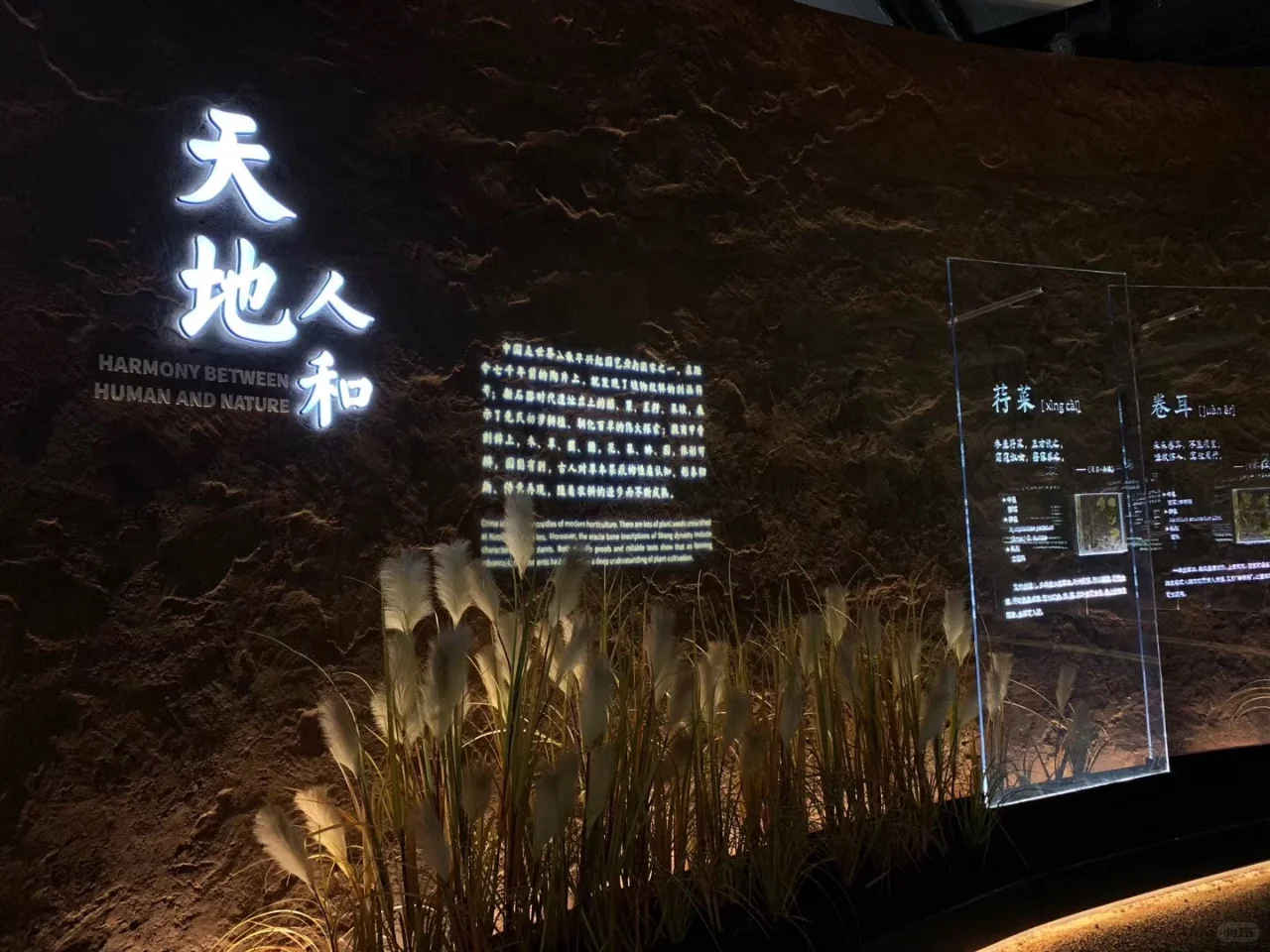 探馆——2019年北京世界园艺博览会北京馆