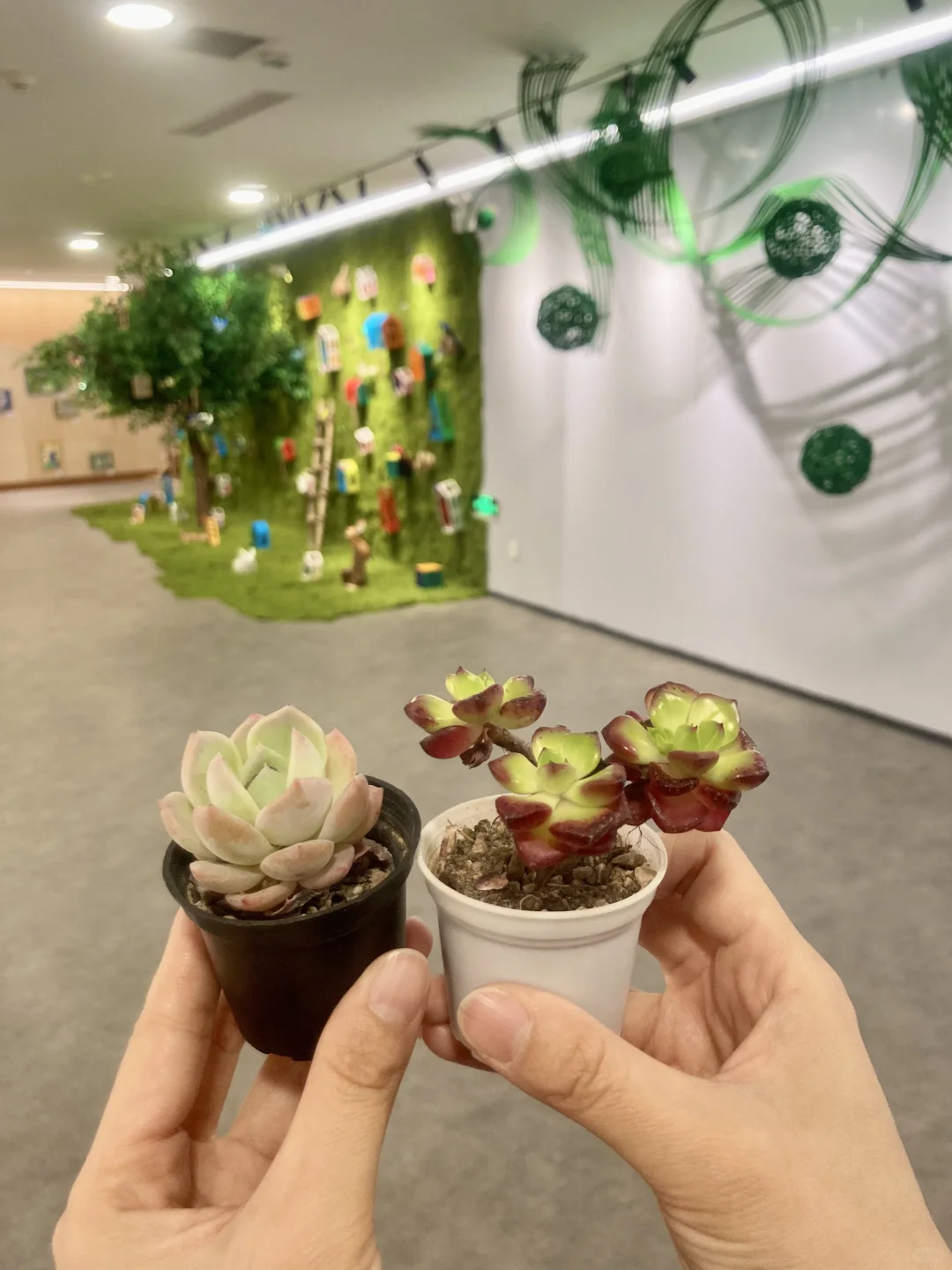 天津?新展｜超治愈!! 掉入奇妙春日幻境✨?