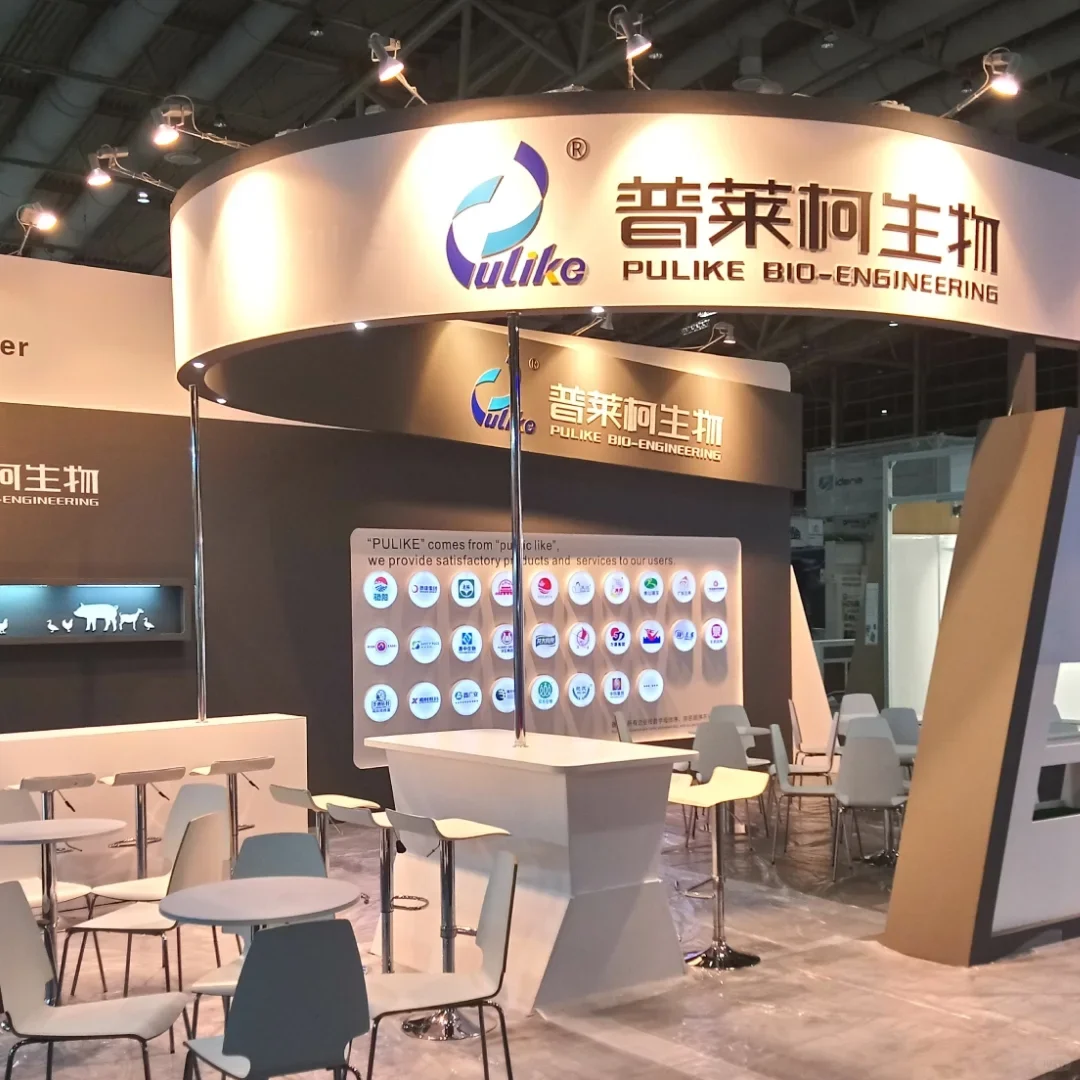 美国展览搭建工厂：打造展示成功的幕后英雄