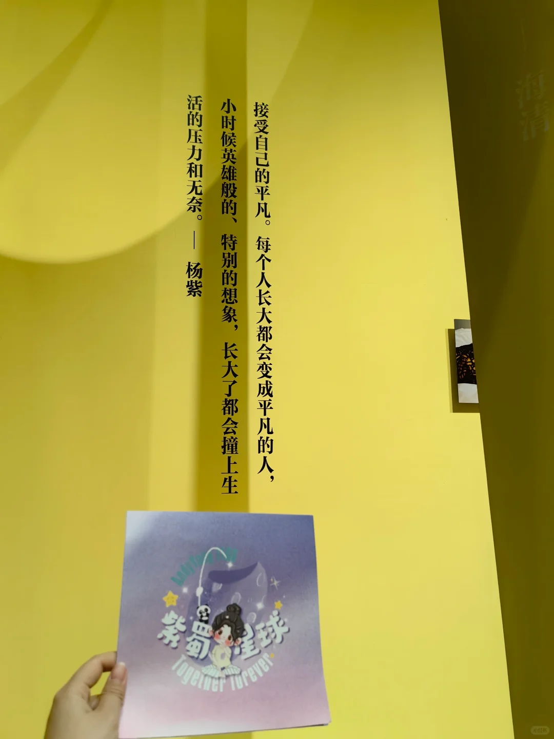 成都｜嘉人新展看杨紫