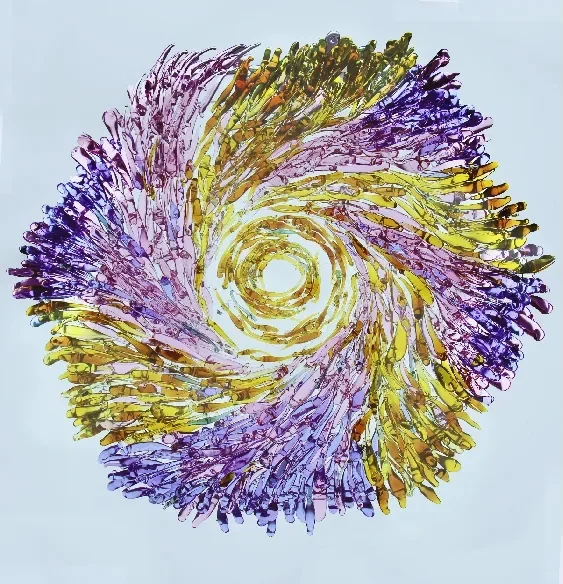 这个展，逛不完，根本逛不完……