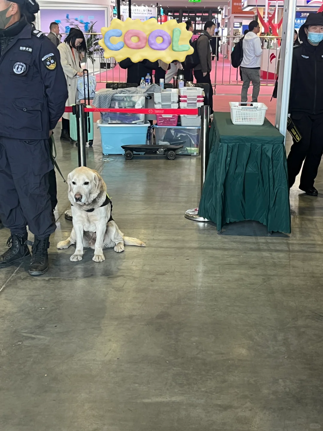 04 大三｜国际FIC展会最年轻参展商