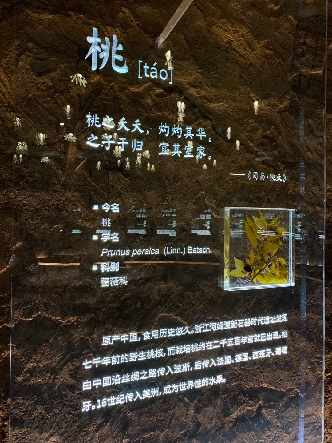 探馆——2019年北京世界园艺博览会北京馆