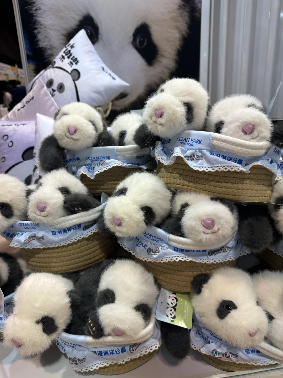 香港旅游博览会|必打卡海洋公园展位