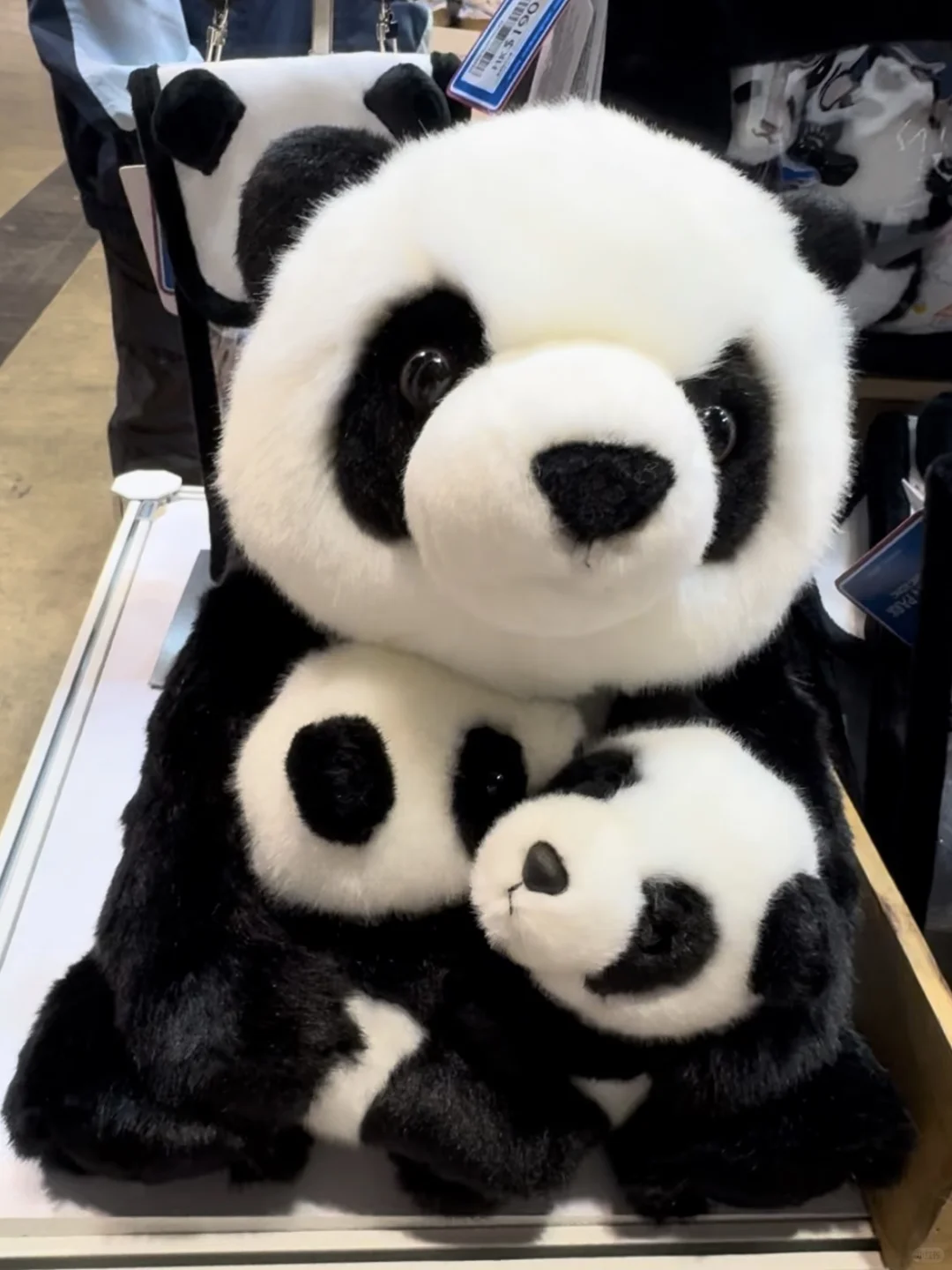 香港旅游博览会|必打卡海洋公园展位