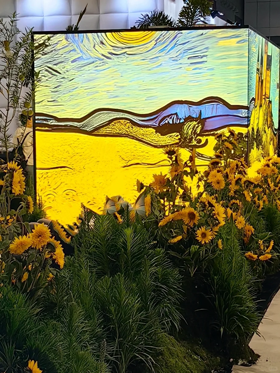 是谁还没有来这里呀