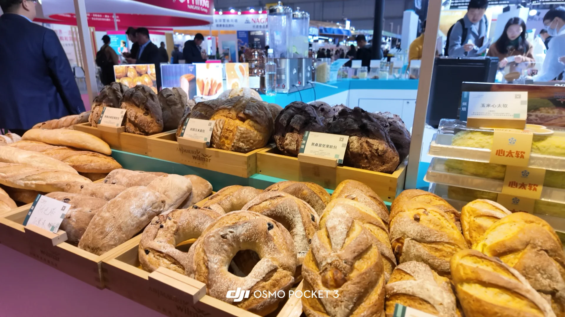 别人学习我放假