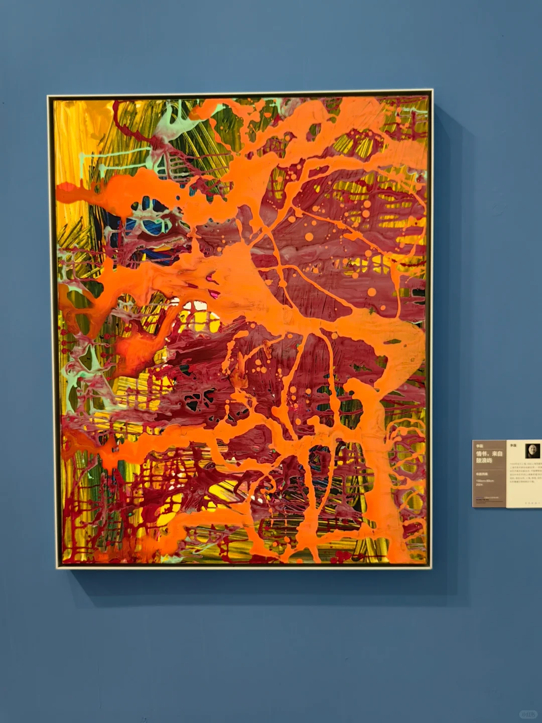 一上岛就被展览吸引走啦