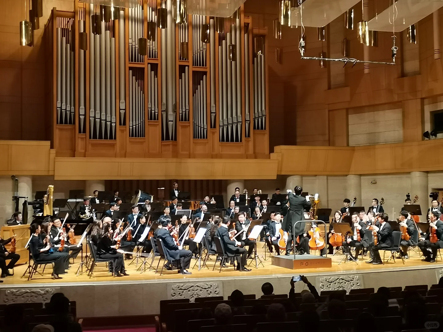 250323 图画展览会