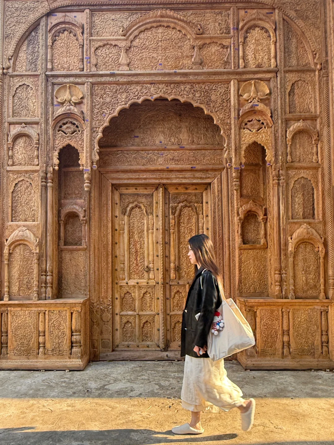 深圳看展！仿佛穿越雨林探秘?