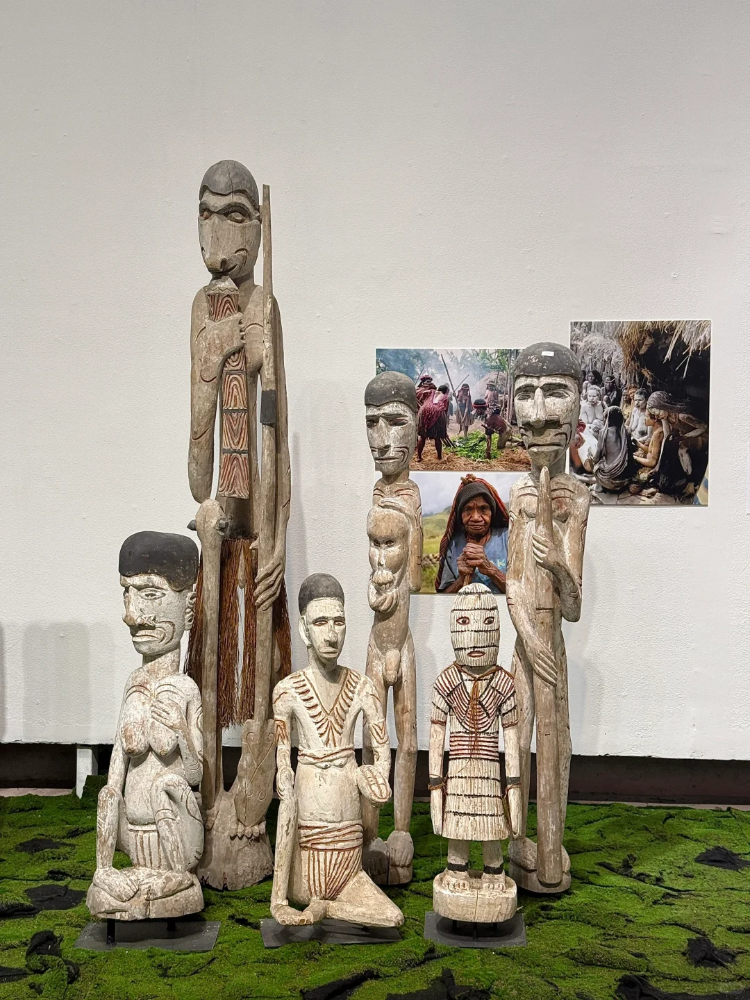 深圳看展！仿佛穿越雨林探秘?