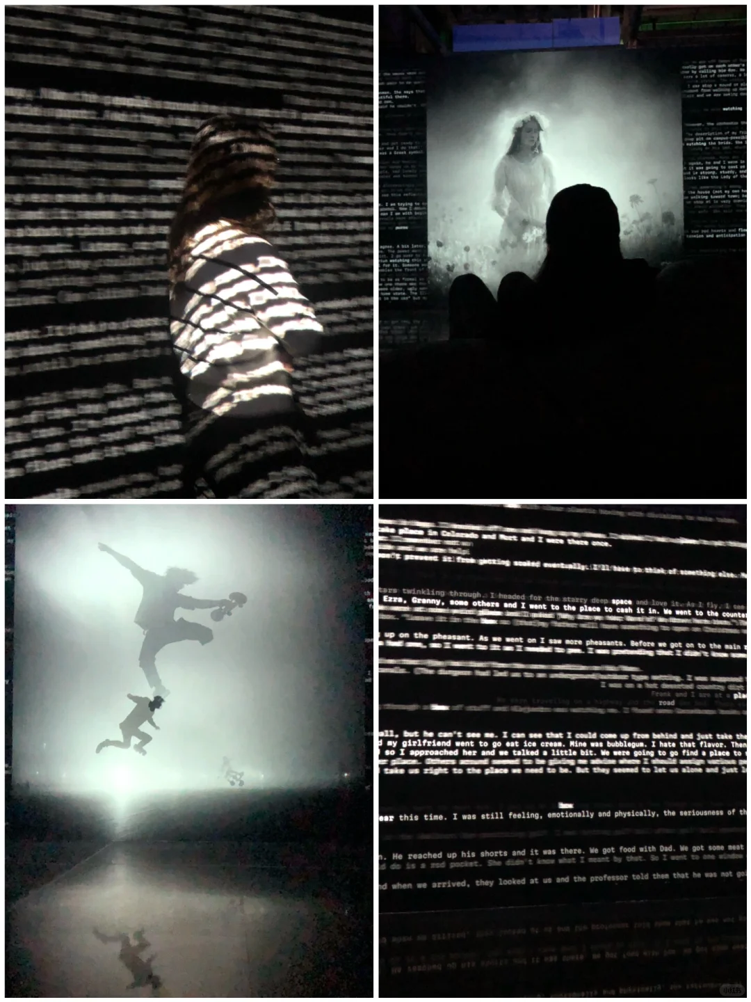 ?深圳新展︳免费赠?，数字世界的生命体?