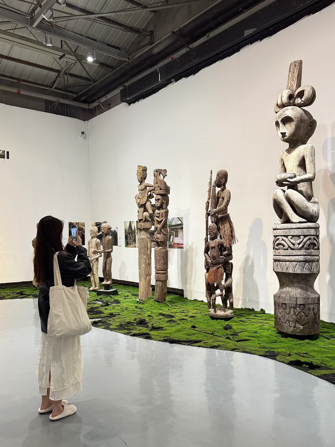 深圳看展！仿佛穿越雨林探秘?