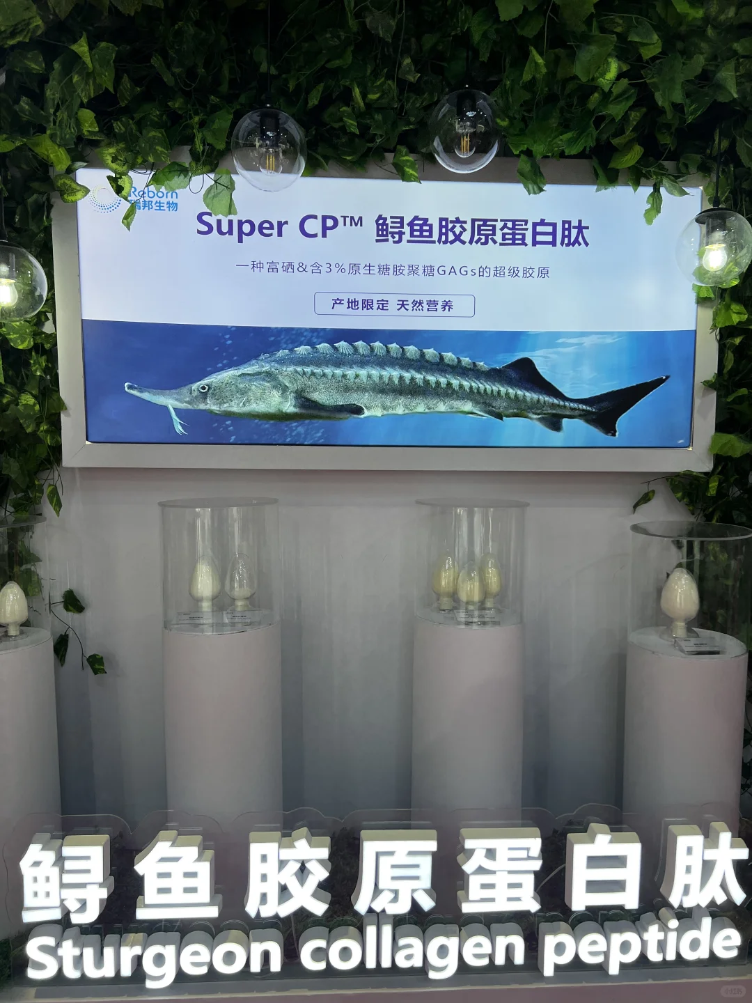 郭郭逛食品原料FIC展会中…