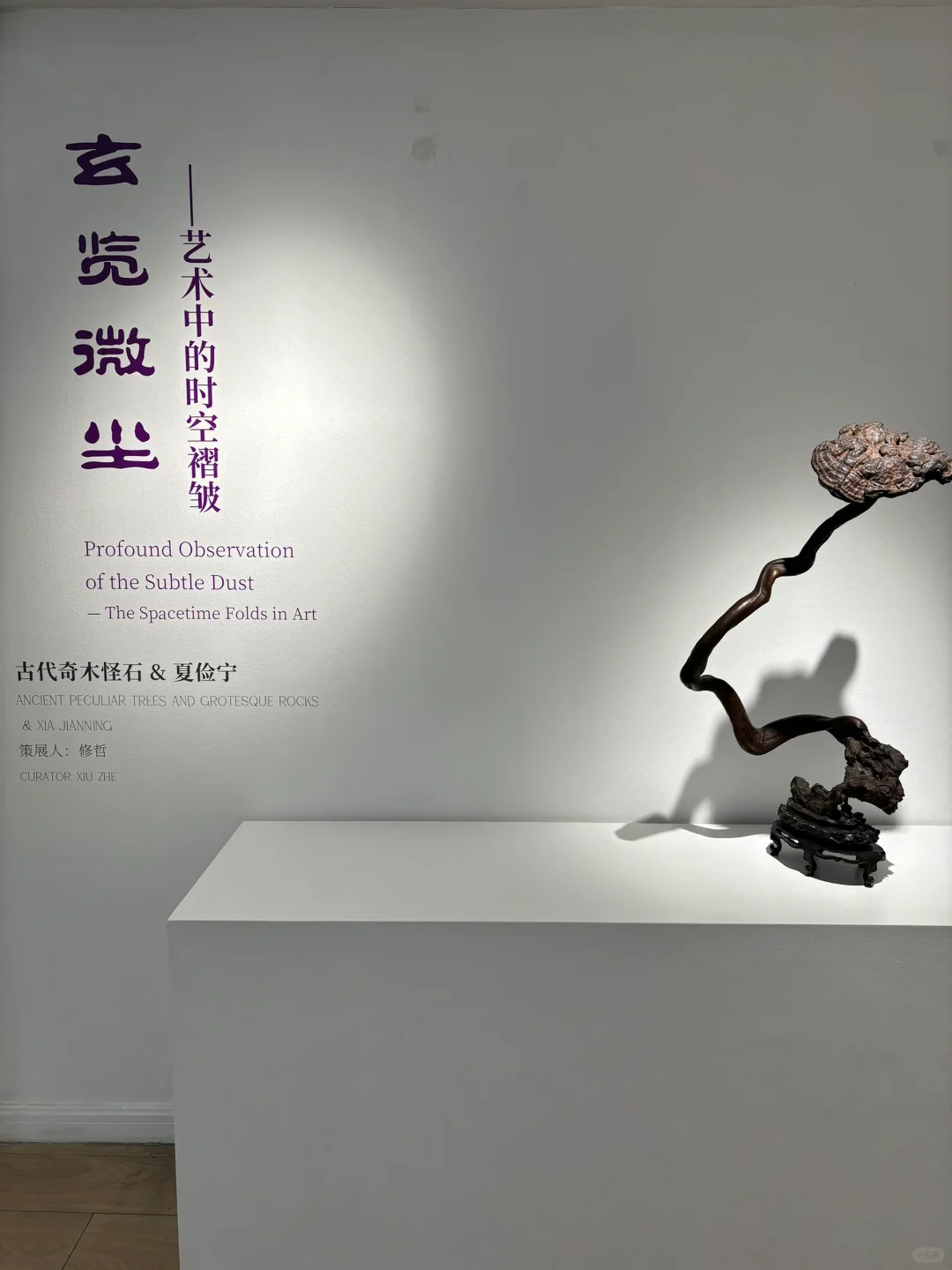 北京免费看展 | Hi Art《玄览微尘》