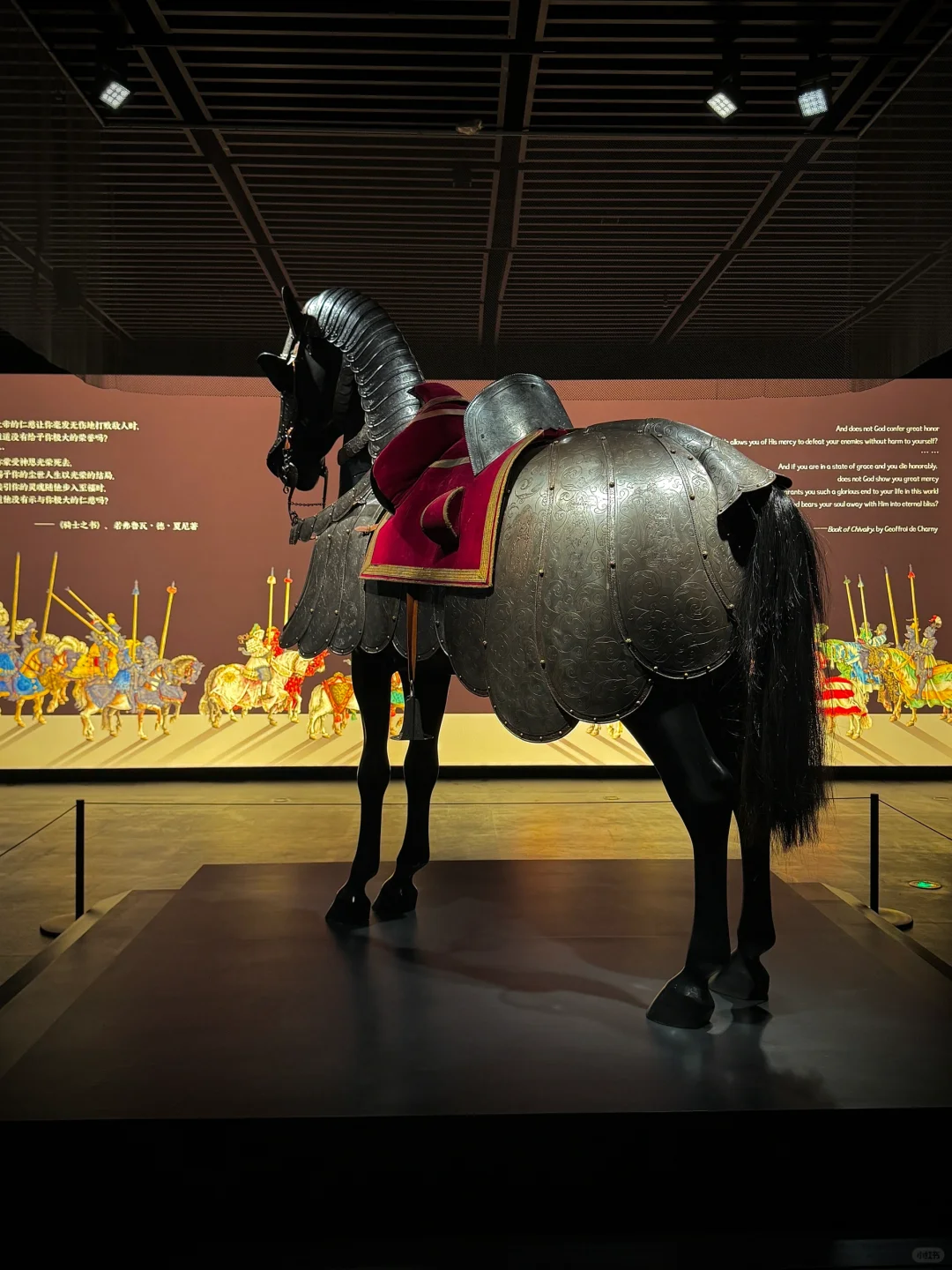 我得个老天耐啊！！！南博这个新展太精彩了！！