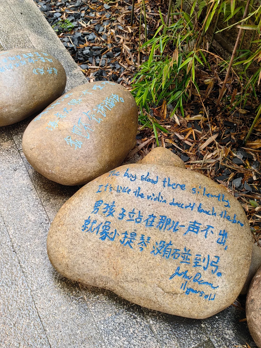 一上岛就被展览吸引走啦