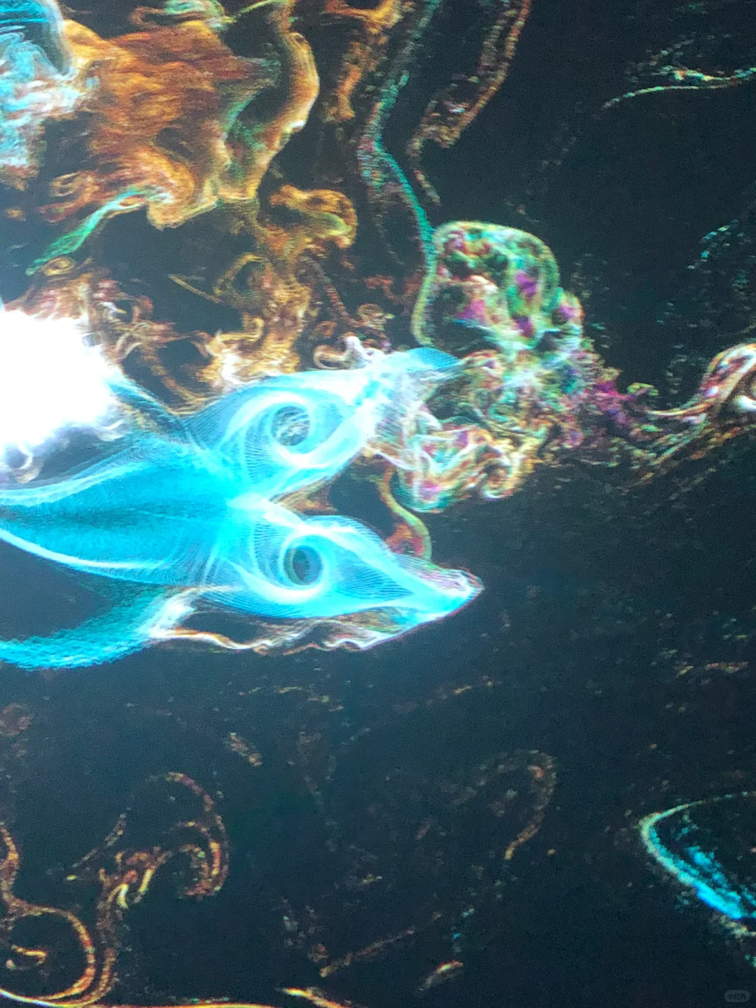 ?深圳新展︳免费赠?，数字世界的生命体?