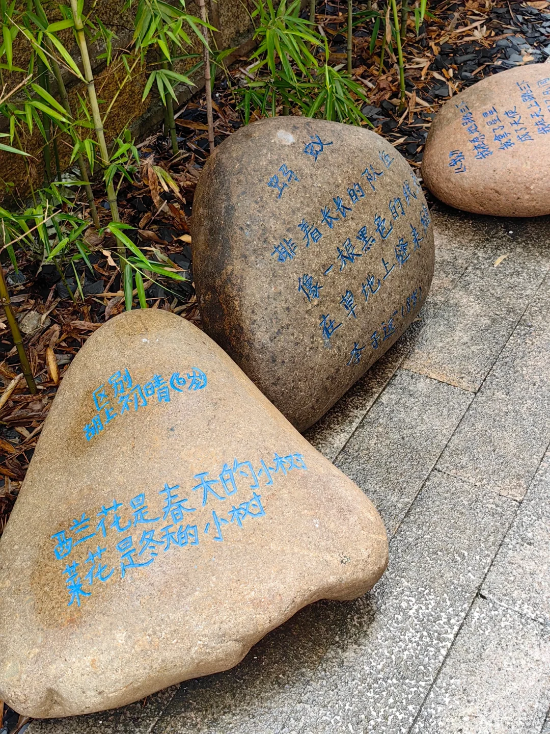 一上岛就被展览吸引走啦