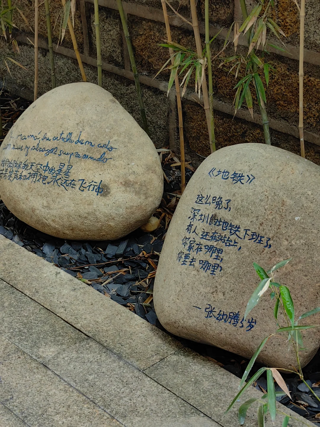 一上岛就被展览吸引走啦