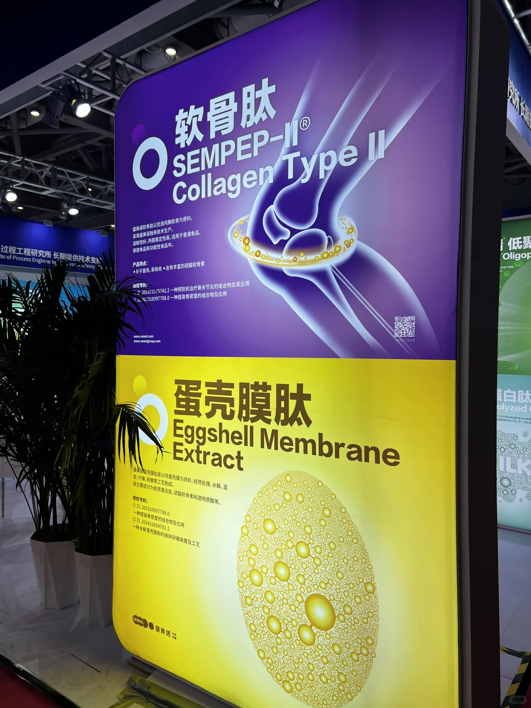 郭郭逛食品原料FIC展会中…