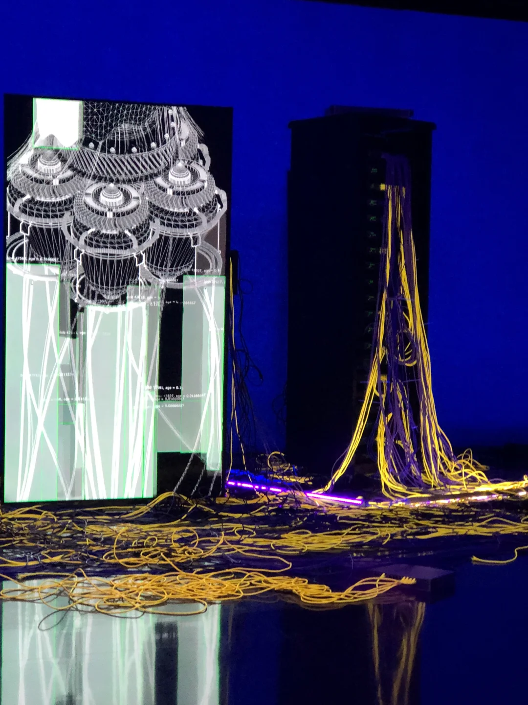 ?深圳新展︳免费赠?，数字世界的生命体?