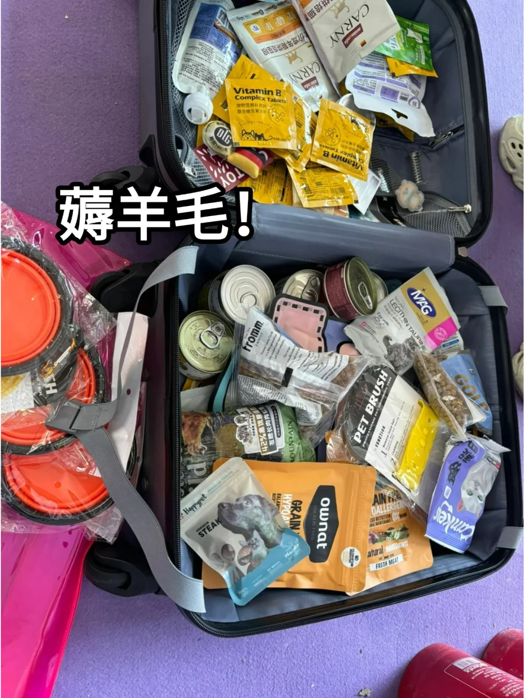 免费门票！北京宠物展即将开始啦！来薅羊毛