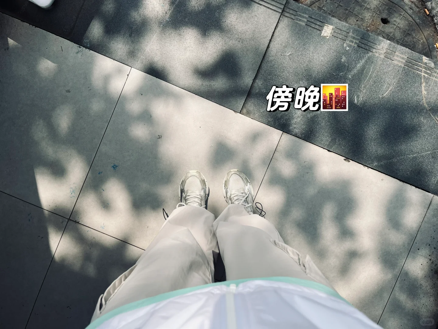 ENFP超级无敌充实的一天之逛水果博览会