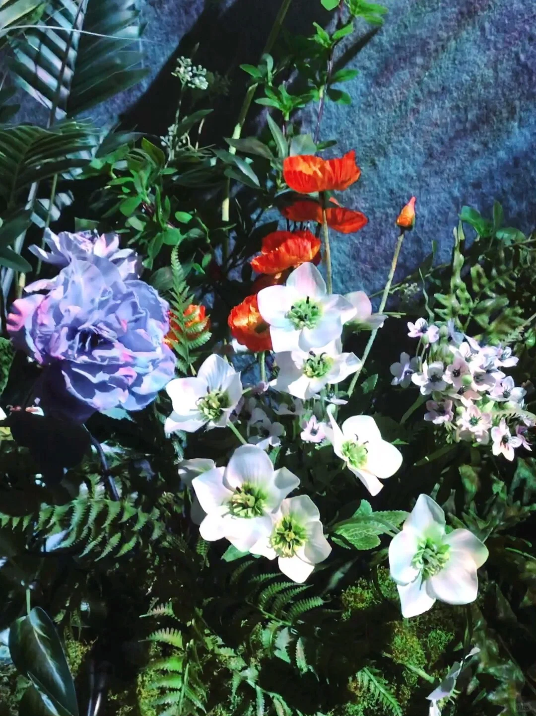 ?深圳新展︳免费赠?，数字世界的生命体?