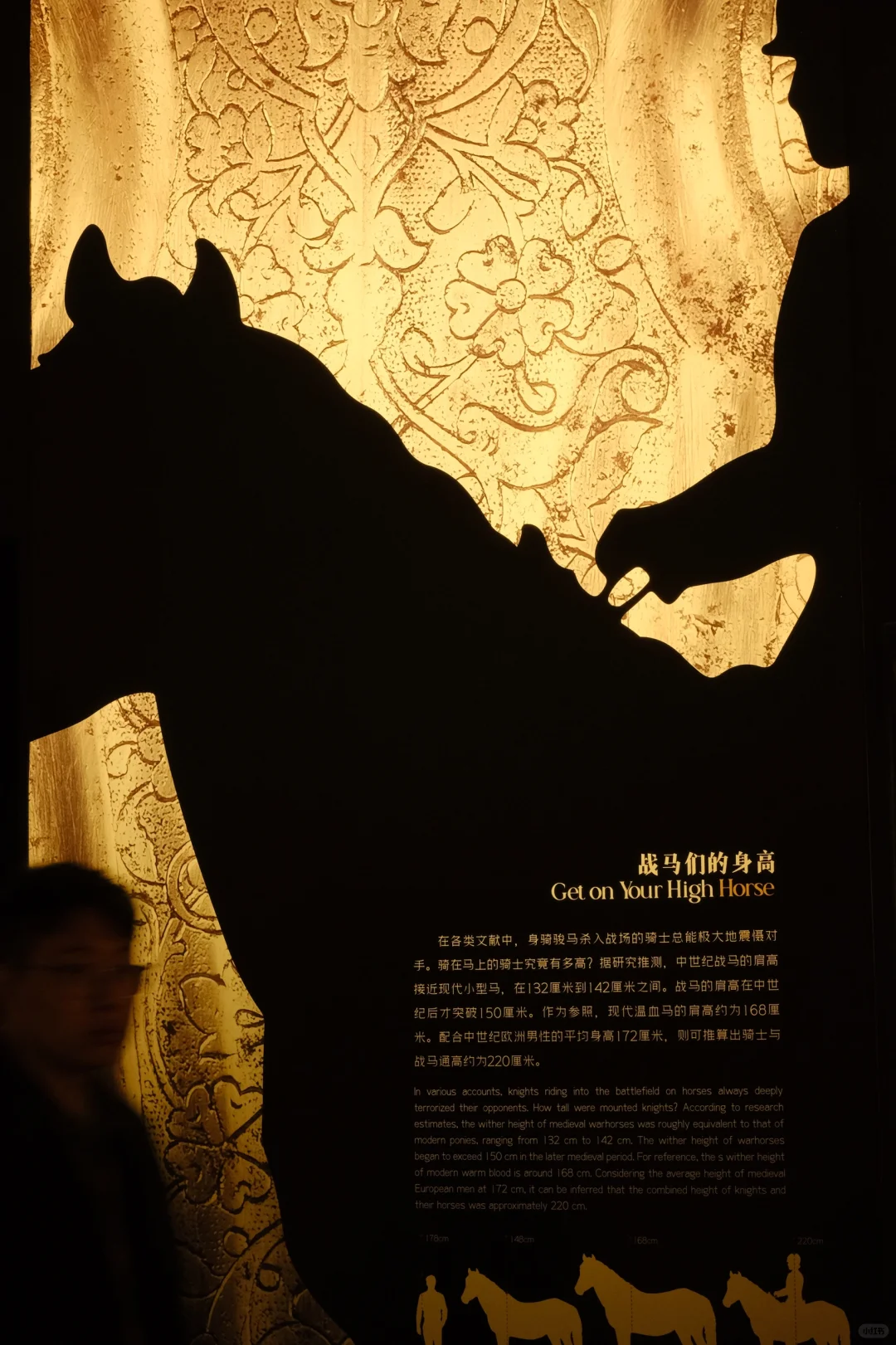 深圳必看｜都灵王宫140+文物首展‼️（免费）