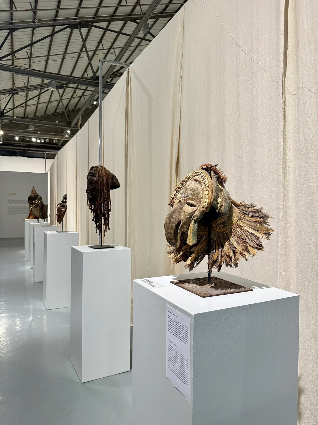 深圳看展！仿佛穿越雨林探秘?