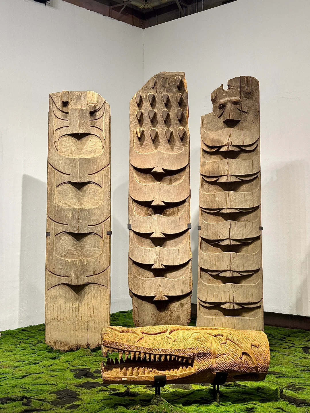 深圳看展！仿佛穿越雨林探秘?