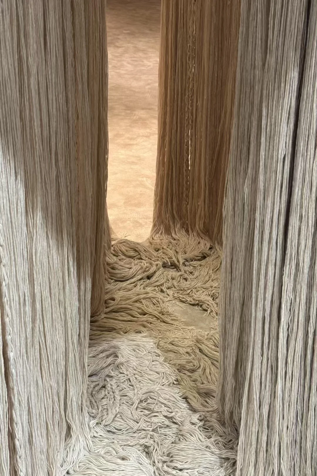 这个展真的太惊艳了！